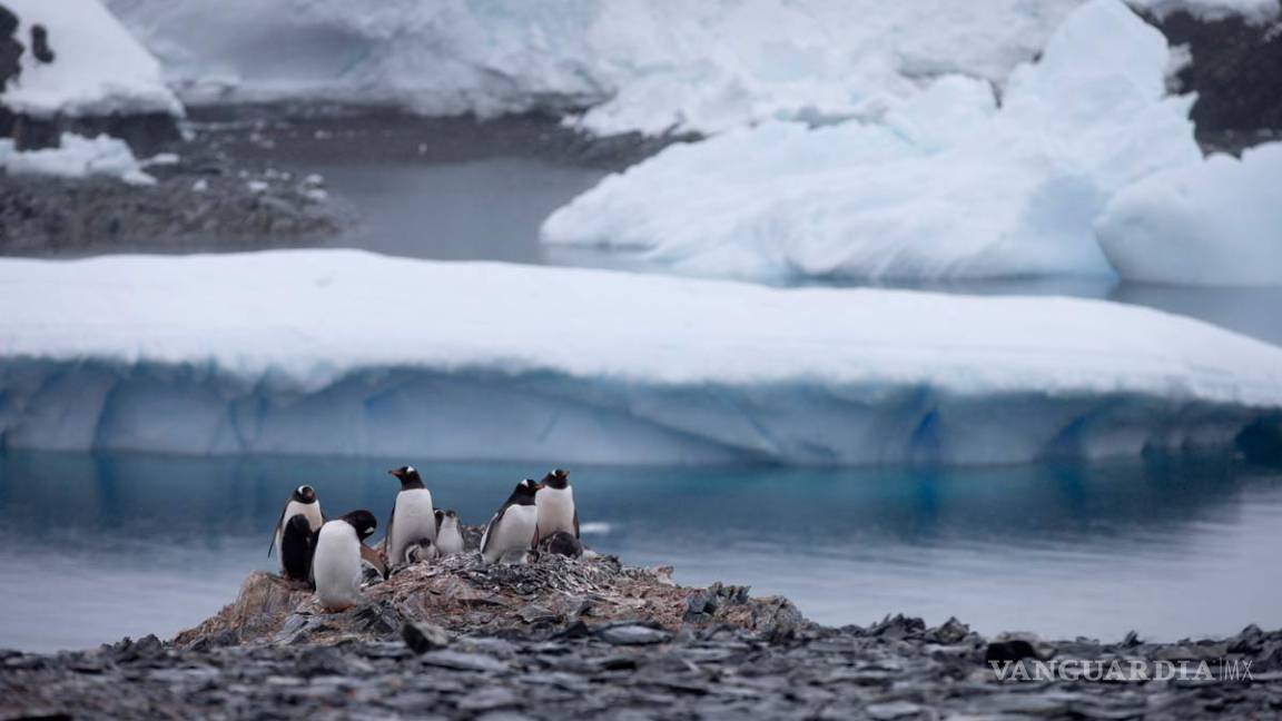 Antártida registra nuevo récord de temperatura, -98.6 grados Celsius