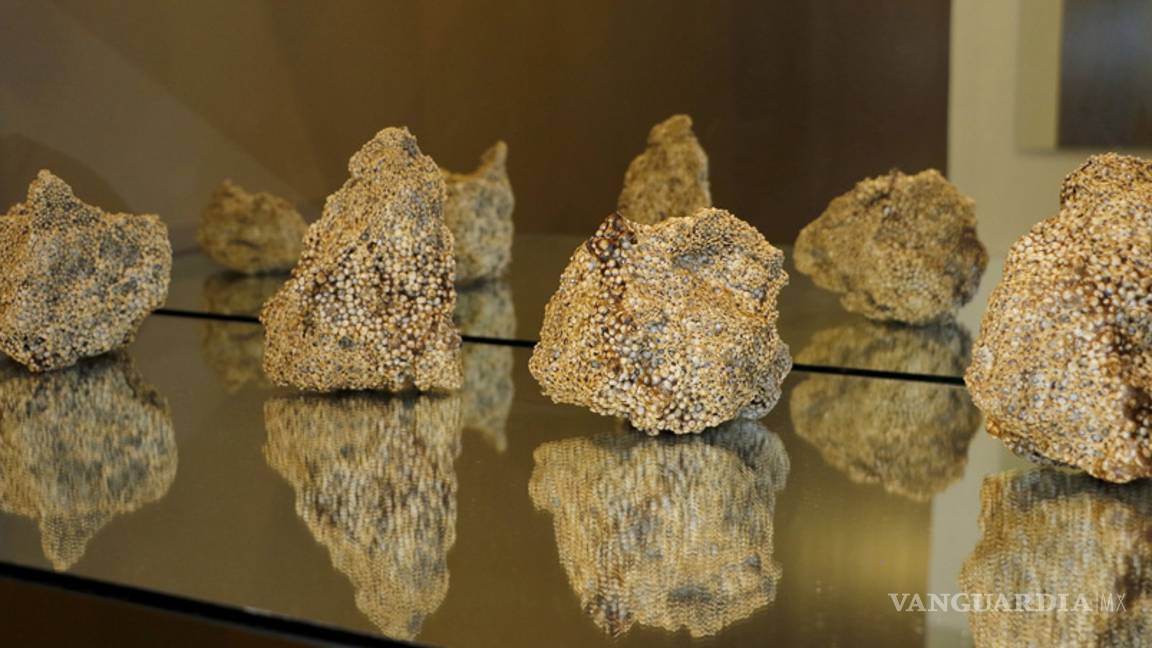 $!Exponen por primera vez juntos 'Los Fuentes Quezada'