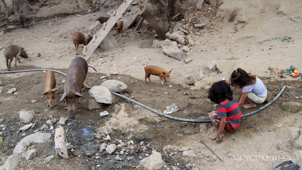 $!México gasta en sus niños de 0 a 5 años menos que Guatemala y Honduras: Unicef y Coneval