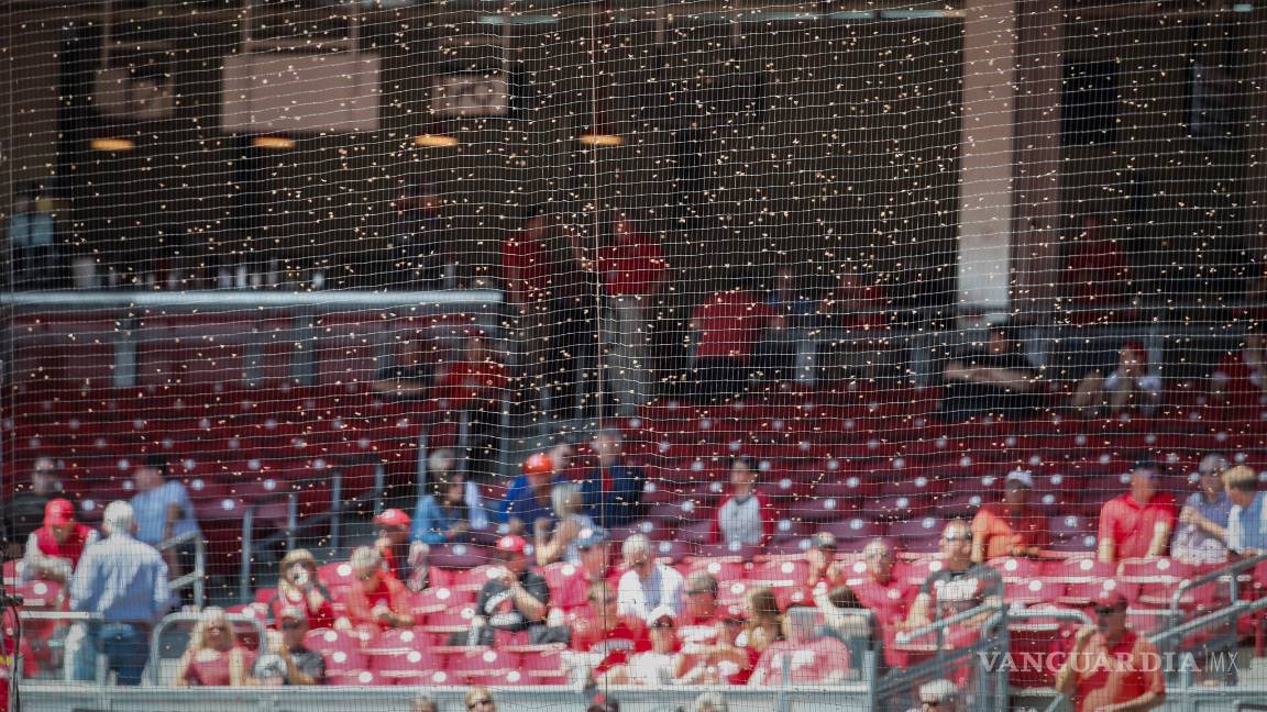 $!En medio de un enjambre de abejas, Cicinnati gana un accidentado partido a San Francisco