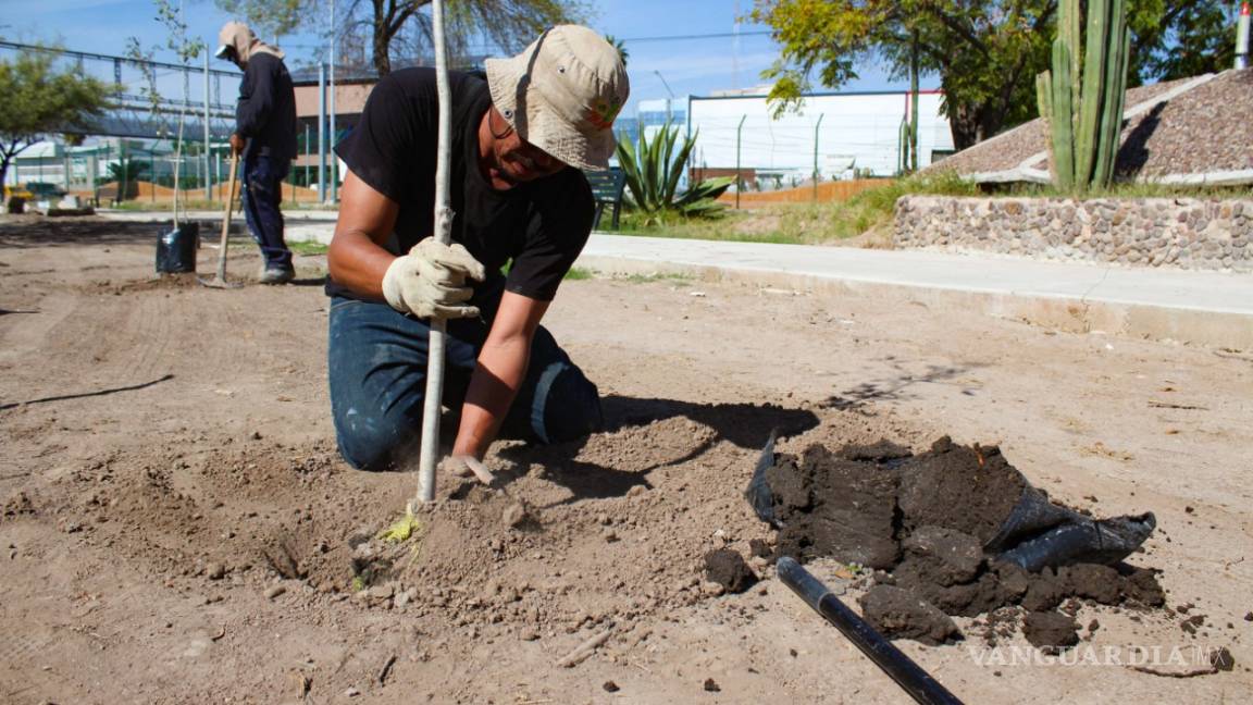 Rehabilitación de la Plaza de la Tortuga de Torreón registra avance del 40 por ciento