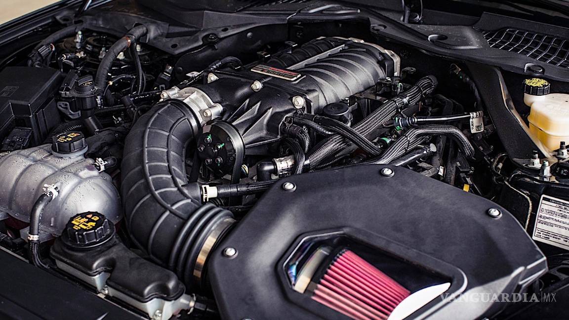 $!Si amas los Ford Mustang, no te puedes perder el Eagle Squadron (fotos)