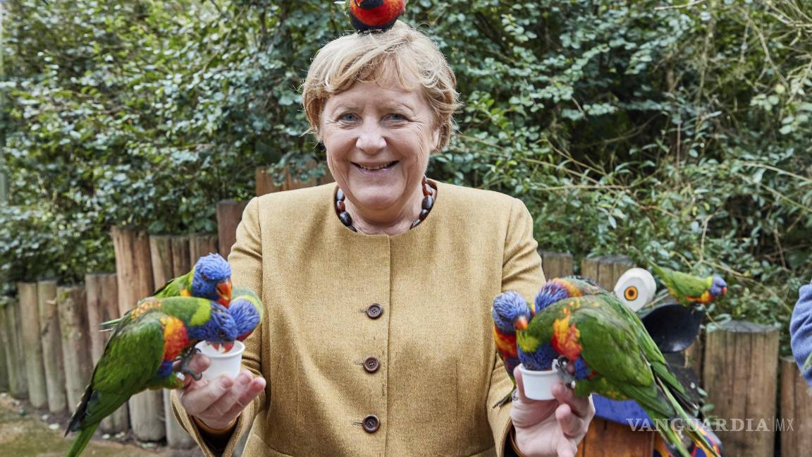 $!La canciller alemana, Angela Merkel, alimenta a los loritos australianos en Marlow Bird Park en Marlow, Alemania. AP/Georg Wendt/dpa