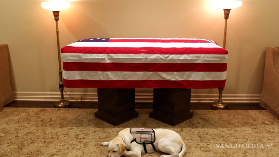 Sully, el perro del expresidente George H. W. Bush se despide de su amo (Fotogalería)
