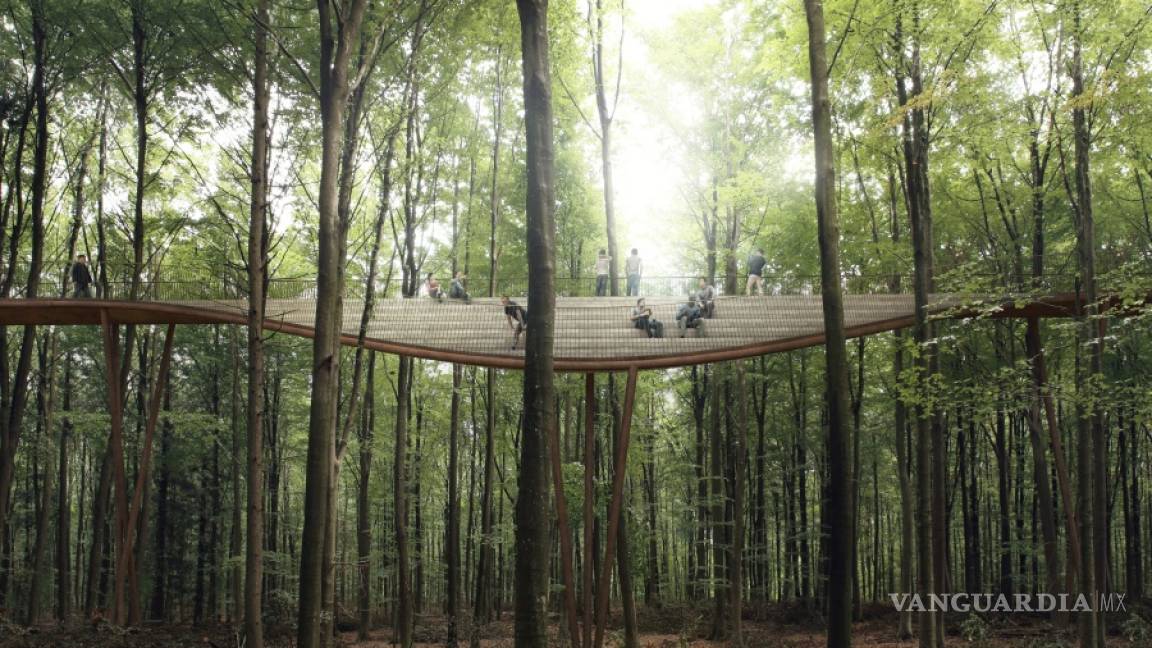 $!La Forest Tower les ofrece a los visitantes una nueva perspectiva del bosque escandinavo