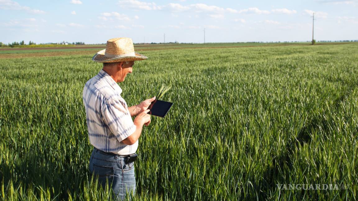 $!Fibra aérea, Internet más de 5 mil metros de altura