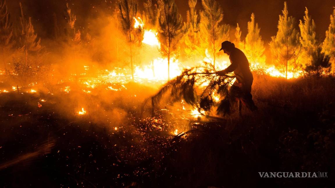 ¡Arde Chile!, 40 incendios forestales se mantienen activos