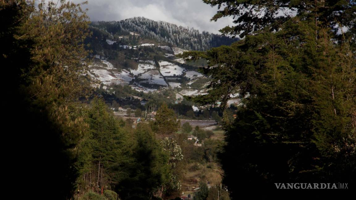 $!Grupo México busca explotar mina en reserva de la monarca; EU pide a EPN detenerlo