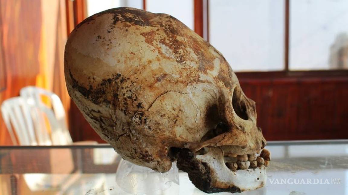 Reconstruyen en Bolivia cráneos de cultura que habitó el país hace 3.000 años