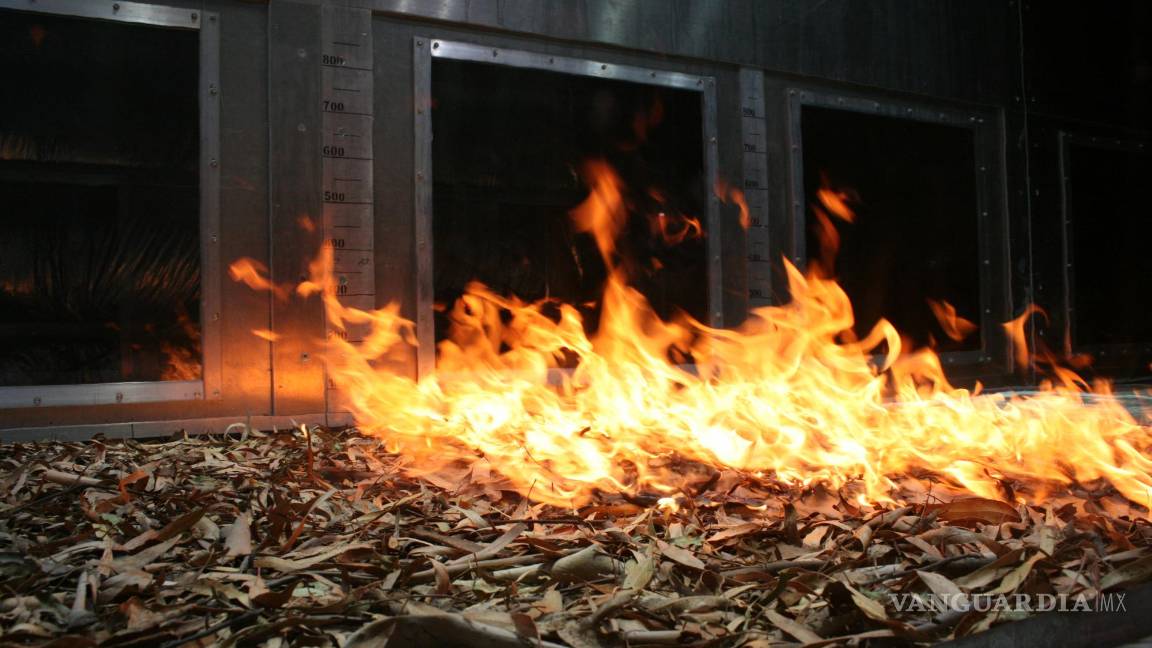 $!El Pyrotron es un túnel de viento de combustión diseñado para investigar la propagación de llamas.