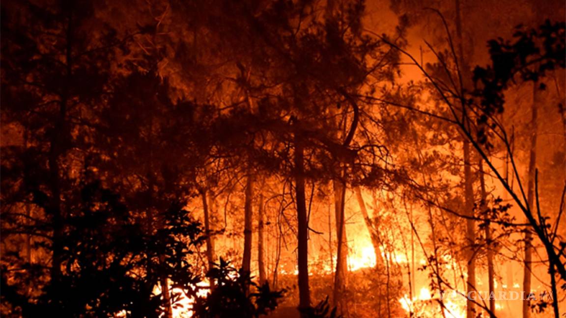 Mira cómo los incendios forestales en Europa arrasan con todo (fotos)