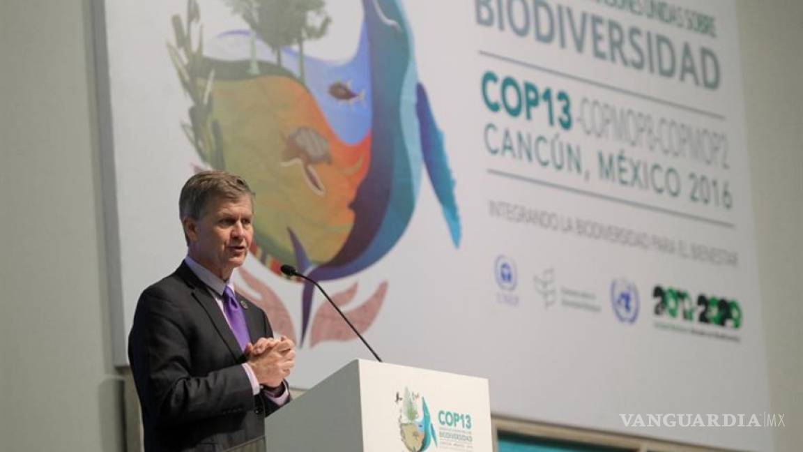 COP13: Más de 190 países buscan proteger la biodiversidad