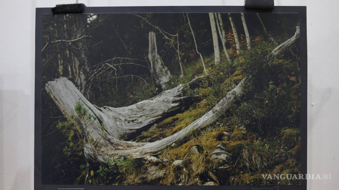 $!Mario Alberto Monjaraz Salas comparte sus recorridos por la Sierra Madre en exposición