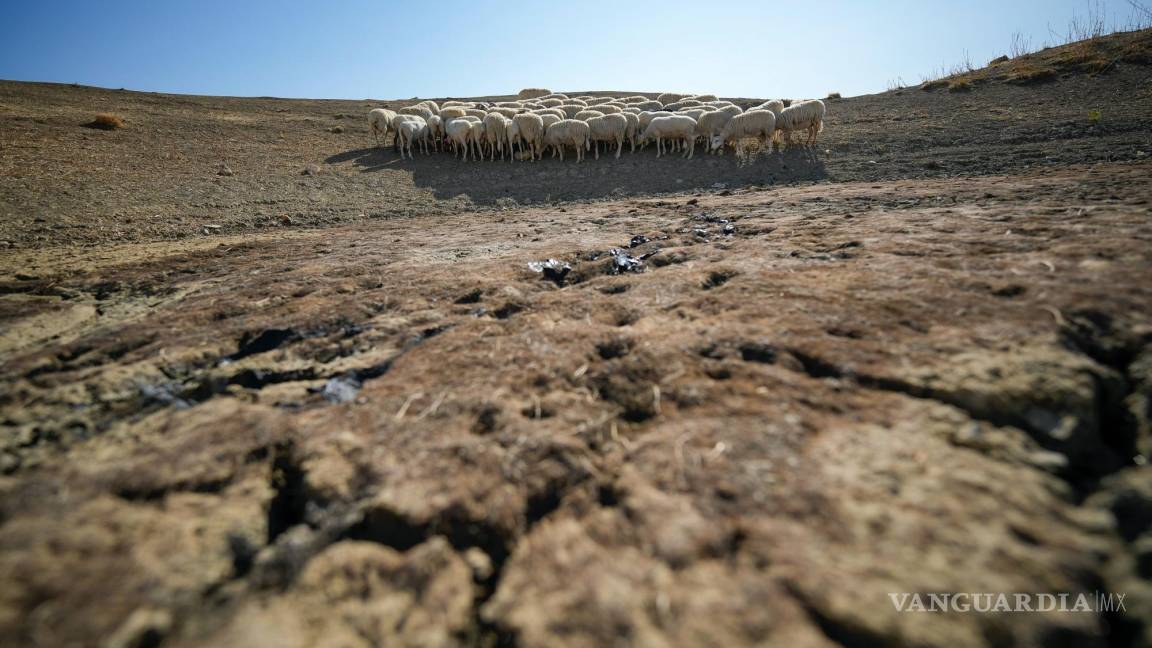 Las tierras del planeta se están secando, advierte un nuevo informe