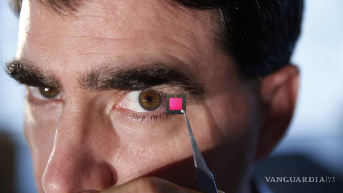 $!Crean un riñón bio artificial