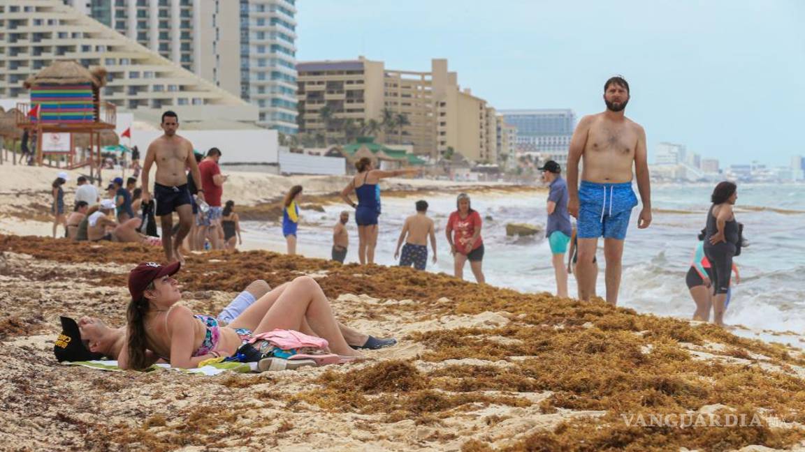 $!Sargazo de Cancún es ocultado en tiraderos clandestinos