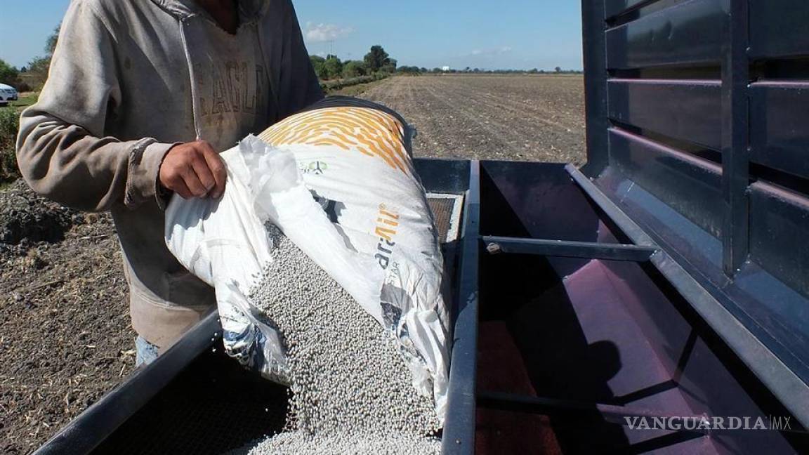 Fertilizantes aumentan 300% su precio por guerra entre Rusia y Ucrania, afectará a México