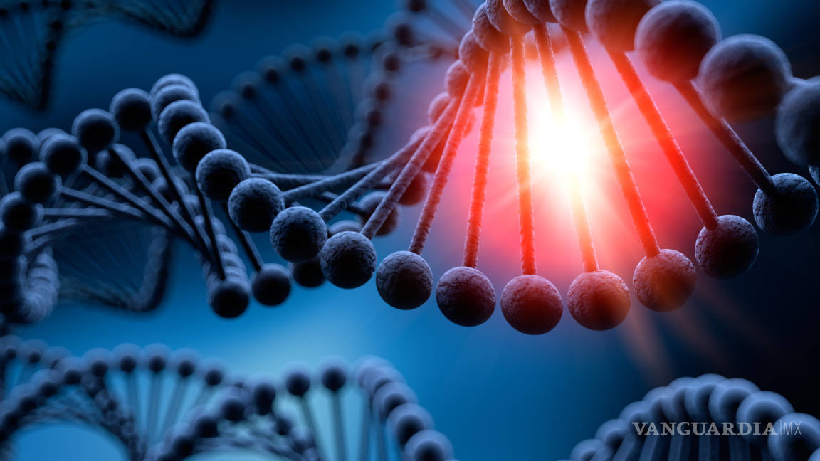 El ADN como banco de datos