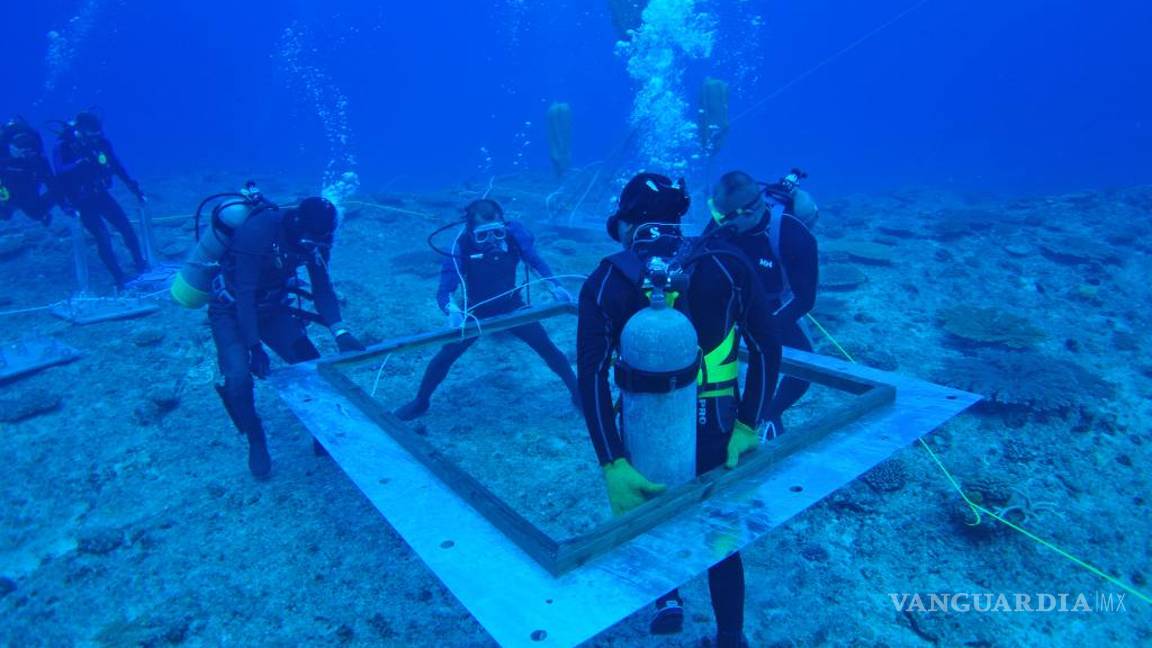 $!Corrientes marinas generan “electricidad azul”