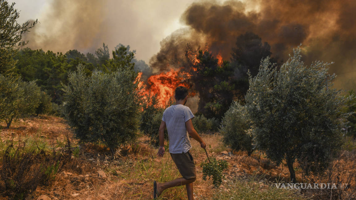 Crece en Italia, Grecia y Turquía fuego forestal