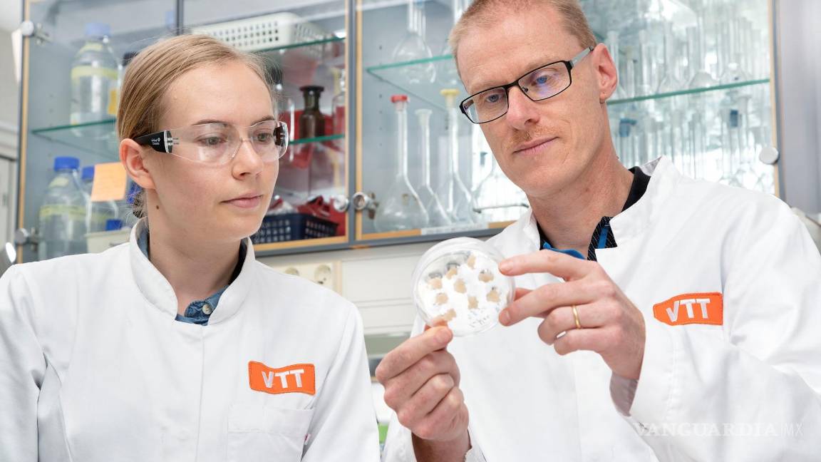 $!Investigadores Elviira Kärkkäinen y Heiko Rischer, en laboratorio. EFE/VTT