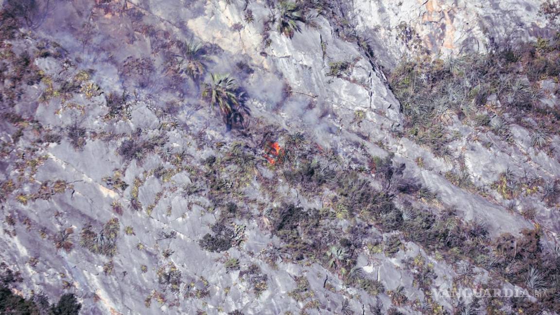 $!Protección Civil de Nuevo León (PCNL) reportó una liquidación del 100 por ciento del incendio forestal registrado en el Cerro de las Mitras en Monterrey