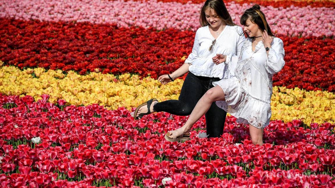 $!La Sociedad Española de Neurología indica que el síndrome de las piernas inquietas es más frecuente en las mujeres. EFE/ Sascha Steinbach
