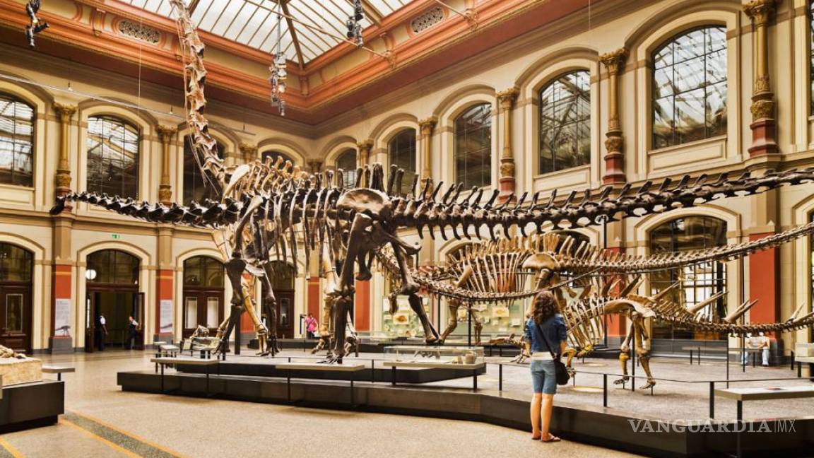 Museo de Historia Natural de Berlín rastrea el ecosistema del Spinosaurus