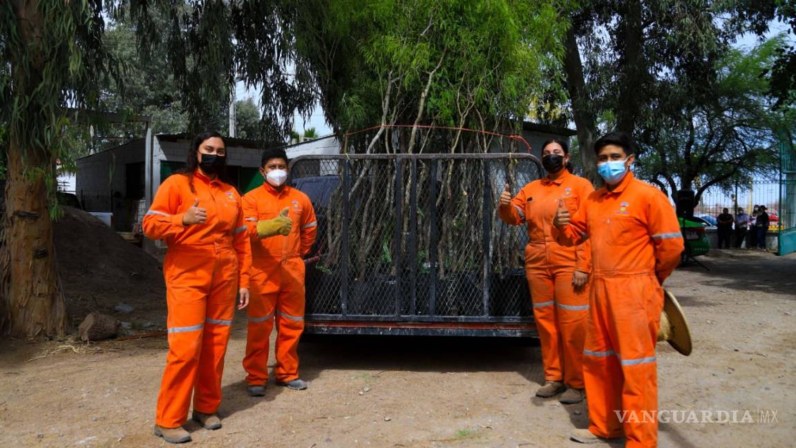Medio Ambiente dona 200 árboles para apoyar con la reforestación de Matamoros, Coahuila