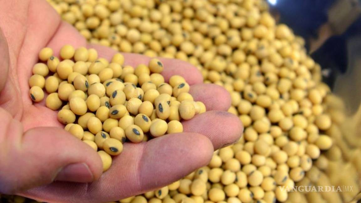 $!El café, chocolate, jarabe de maple y otros ingredientes desaparecerían por el cambio climático