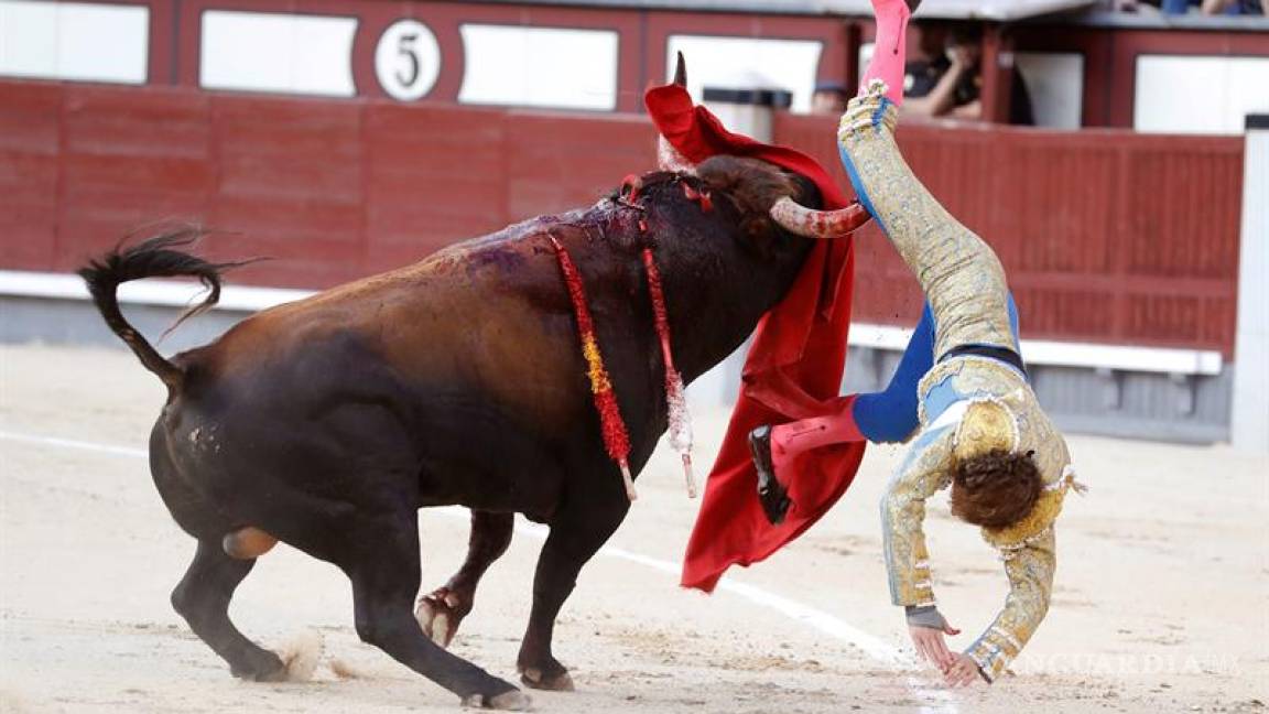 $!La impresionante cornada de un torero en España