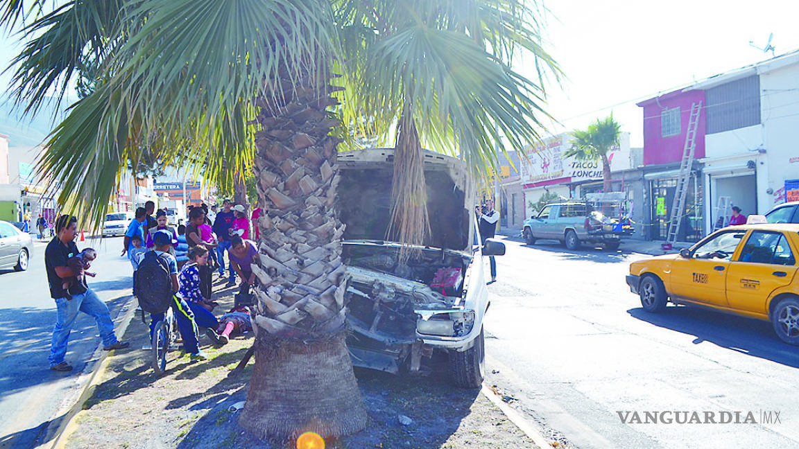 Camioneta conducida por una mujer se queda sin frenos y se estrella contra una palma en Saltillo