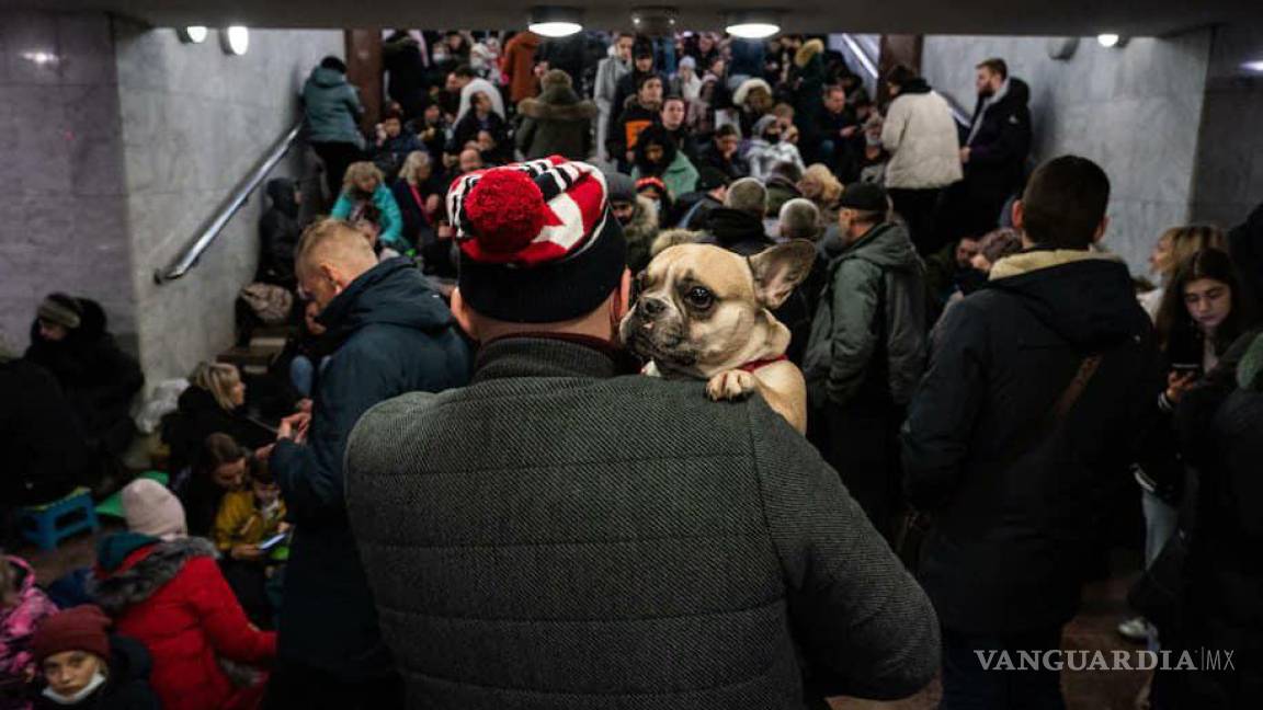 Ellos también son familia; ucranianos huyen del país junto con sus mascotas (Fotos)