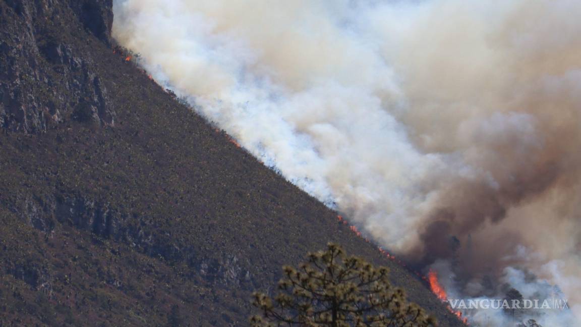 Ahora, nuevo incendio forestal en “La Muralla” de Coahuila