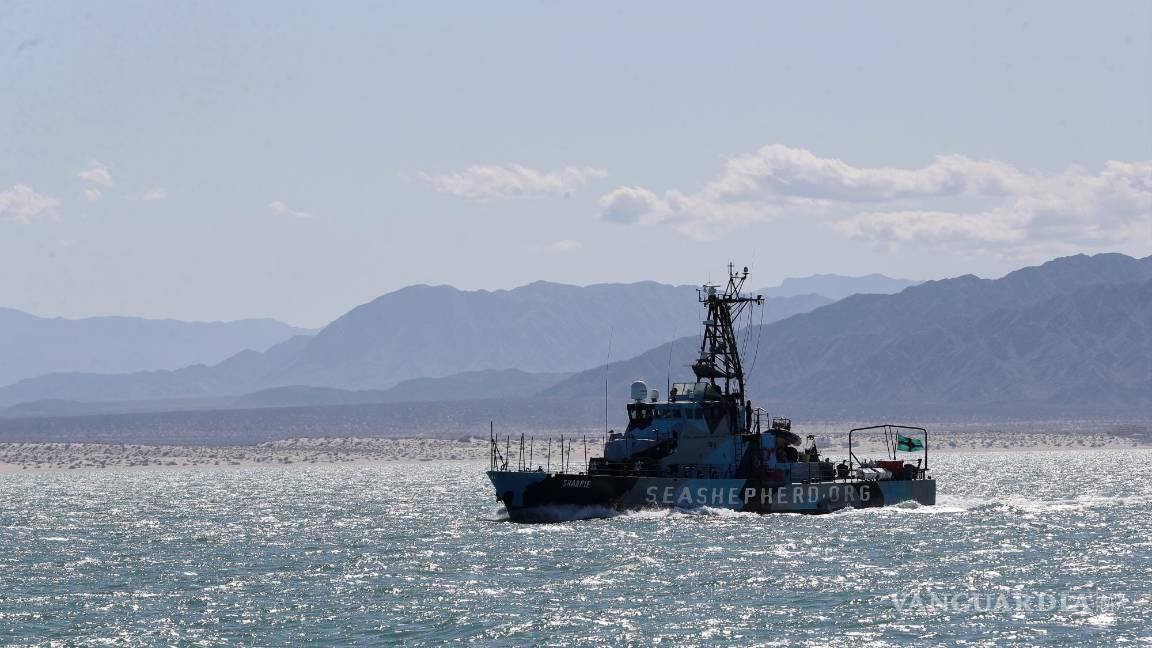 $!El buque John Paul DeJoria de Sea Sheperd el cual monitorea la zona de refugio de la vaquita marina en el Puerto de San Felipe, estado de Baja California (México).