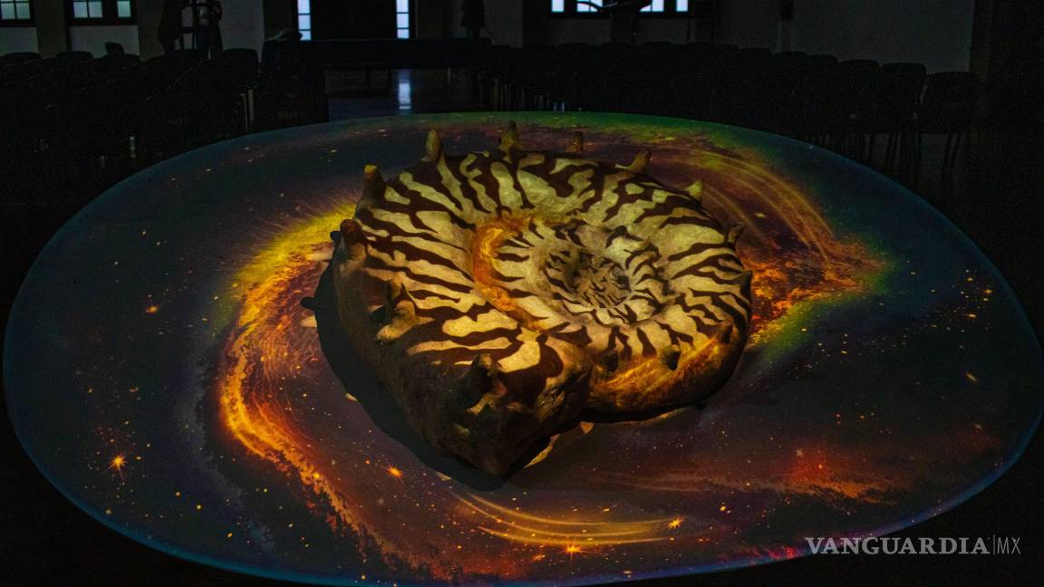 $!La exitosa exposición del MUDE, ‘Dimensiones Prehistóricas’, se muda de Los Pinos a Durango, marcando un hito en la divulgación científica y el arte paleontológico.