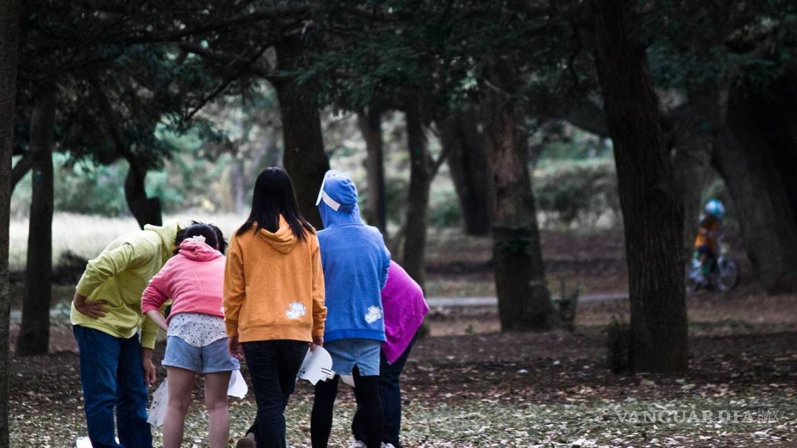 Analiza Consejo Técnico posibilidad de adopción de cuatro adolescentes en Coahuila