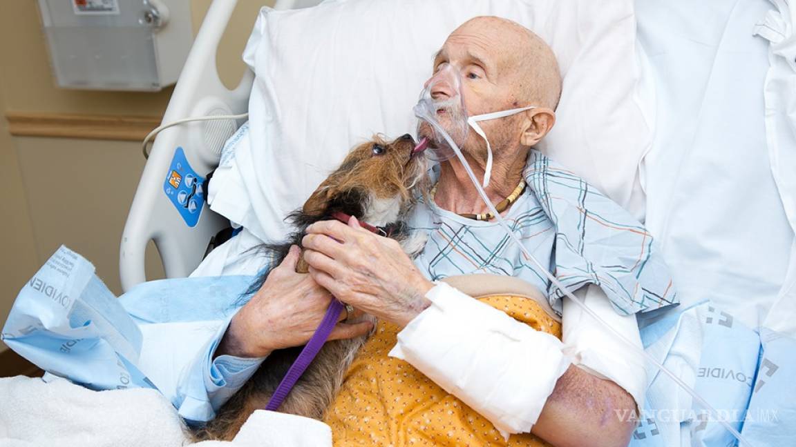 El conmovedor último adiós de un abuelo a su perro