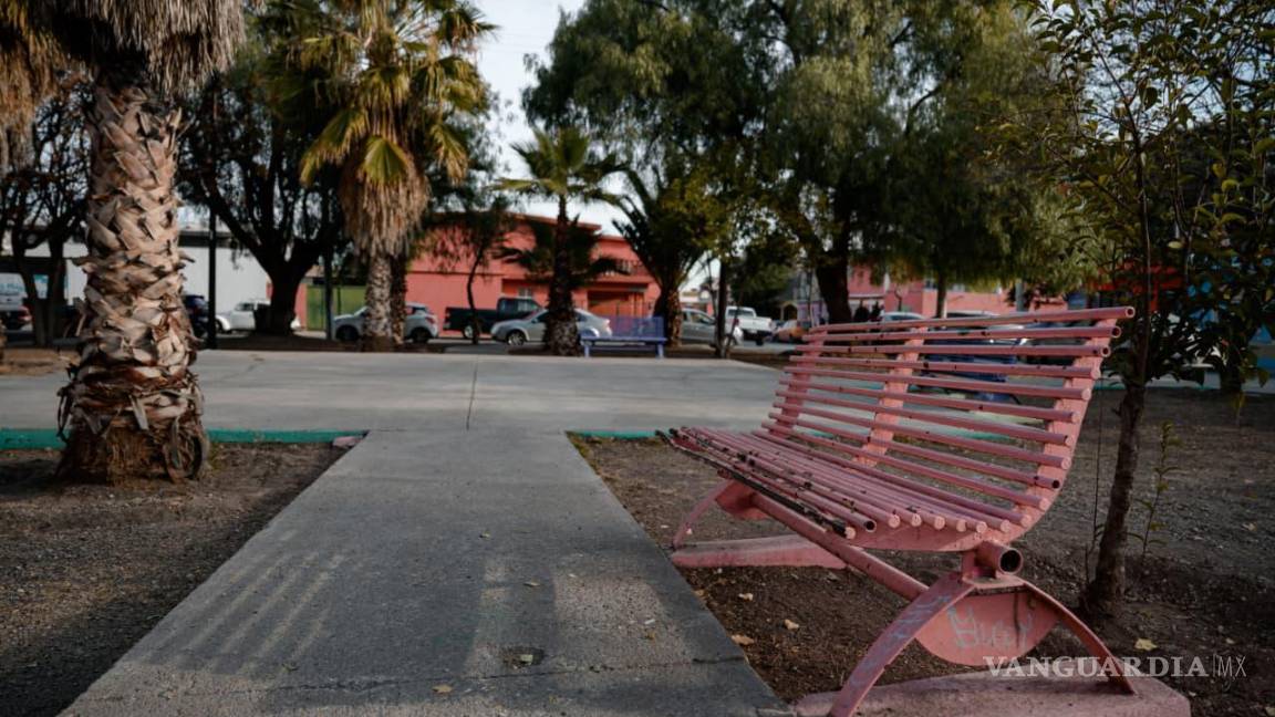 $!Con una inversión de 500 mil pesos, el proyecto contempla pasto sintético, iluminación, rampas, reforestación y mejoras integrales.