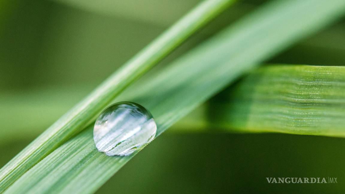 $!El movimiento del agua sobre las superficies genera más carga eléctrica de la esperada.