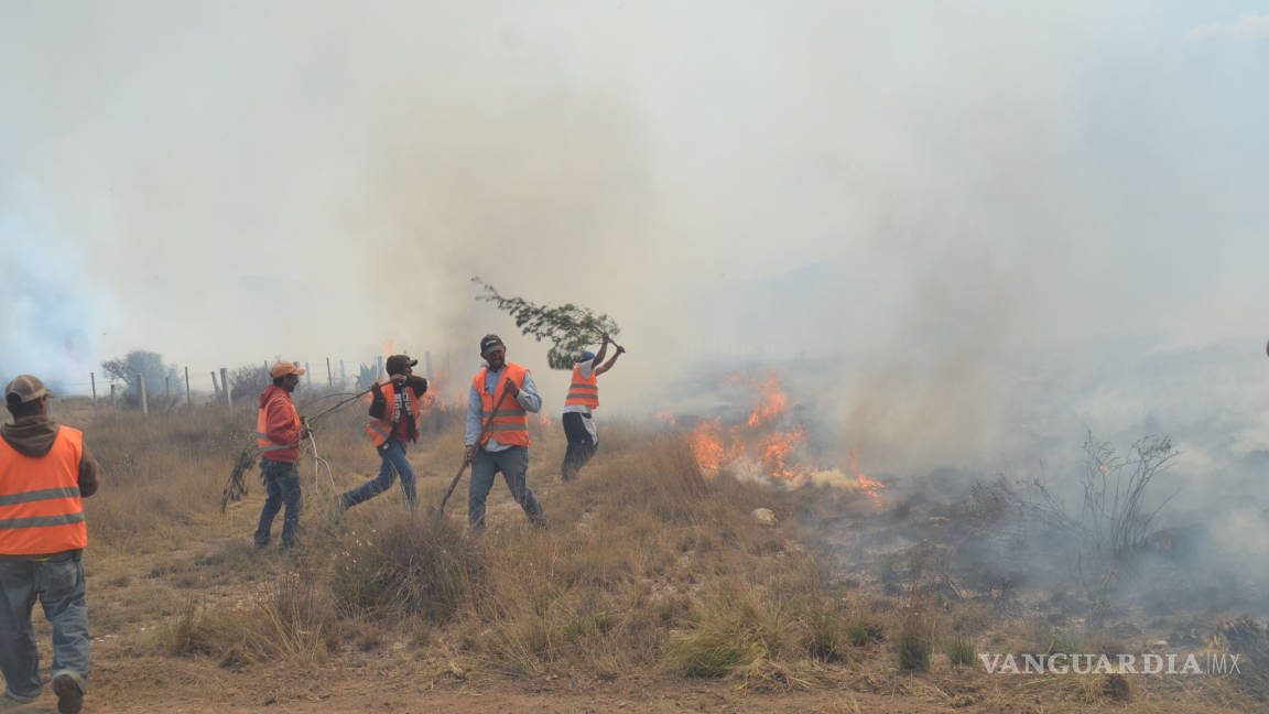 Arden 40 hectáreas en carretera a Monterrey