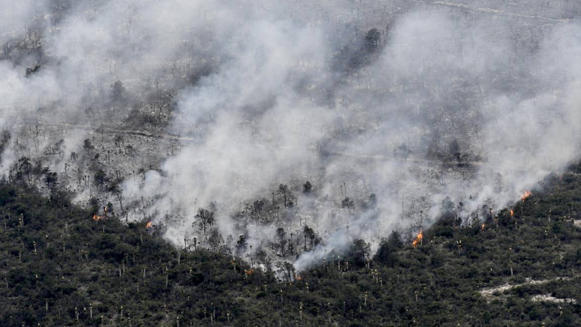 $!Saltillo, Coahuila 17 de mayo del 2022. Incendio en las comunidades de Arteaga El Tunal y Carbonera.