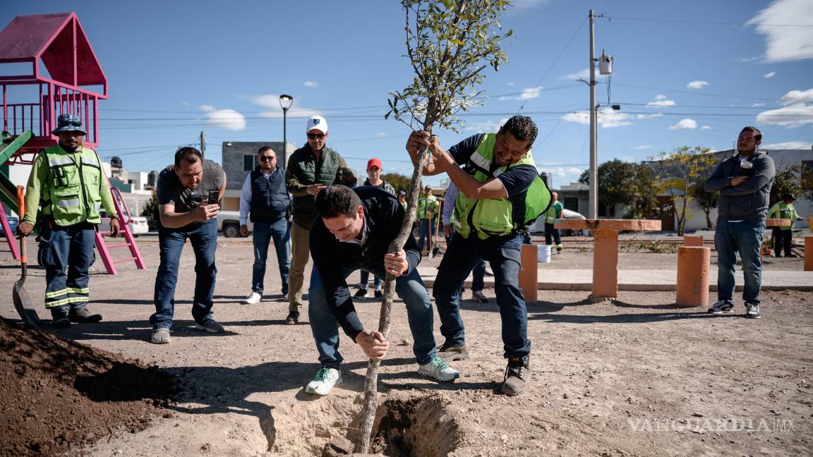 Casi 8 mil árboles han sido plantados en Saltillo en lo que va del año
