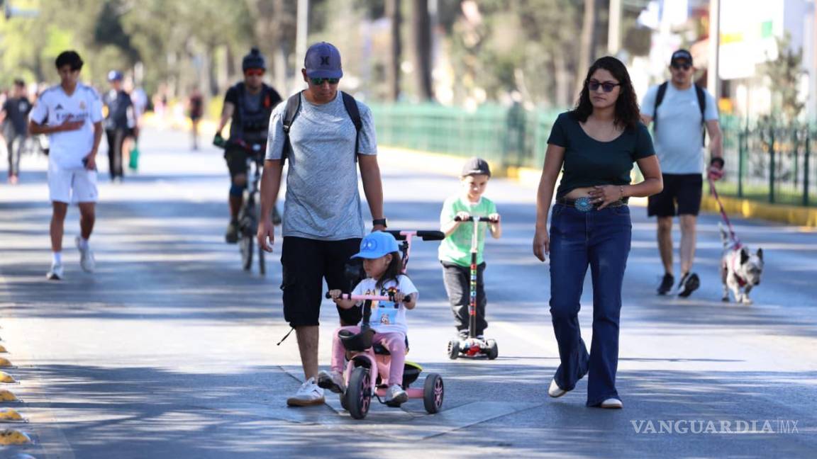 $!La Ruta Recreativa es el espacio ideal para pasear a los pequeñines.