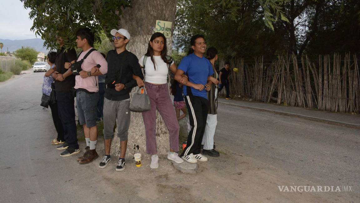 Vecinos se reúnen para evitar poda de nogal en medio de calle en Saltillo