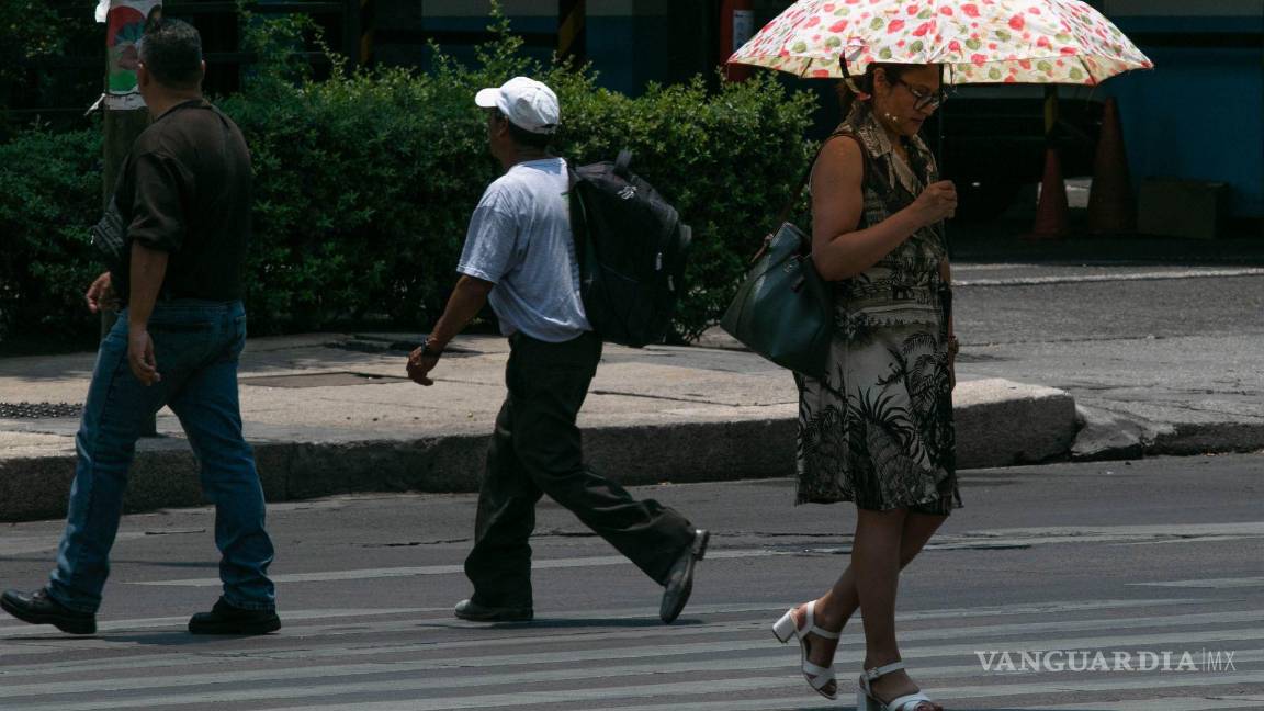 $!Es recomendable usar sombrero, gafas de sol y ropa protectora.