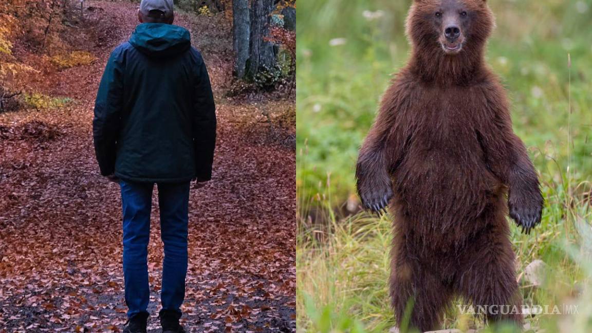 Un oso o un hombre, ¿quién es más peligroso?, esta pregunta ha causado polémica