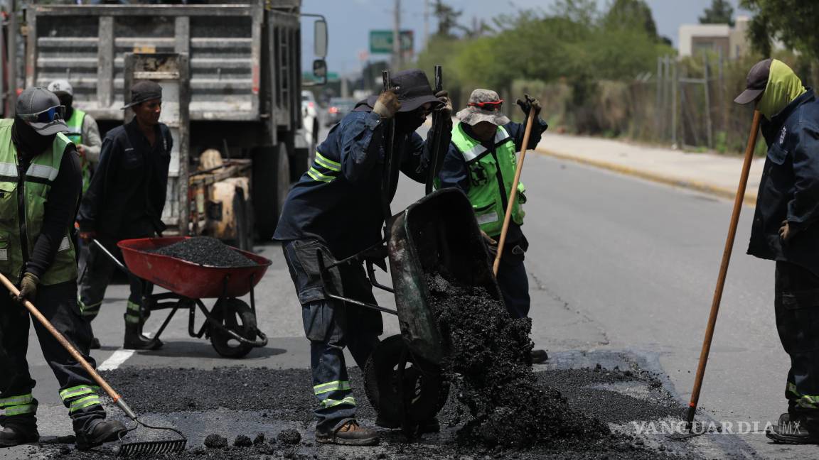 Realiza Municipio labores de bacheo, limpieza y atención animal en colonias del sur y centro de Saltillo