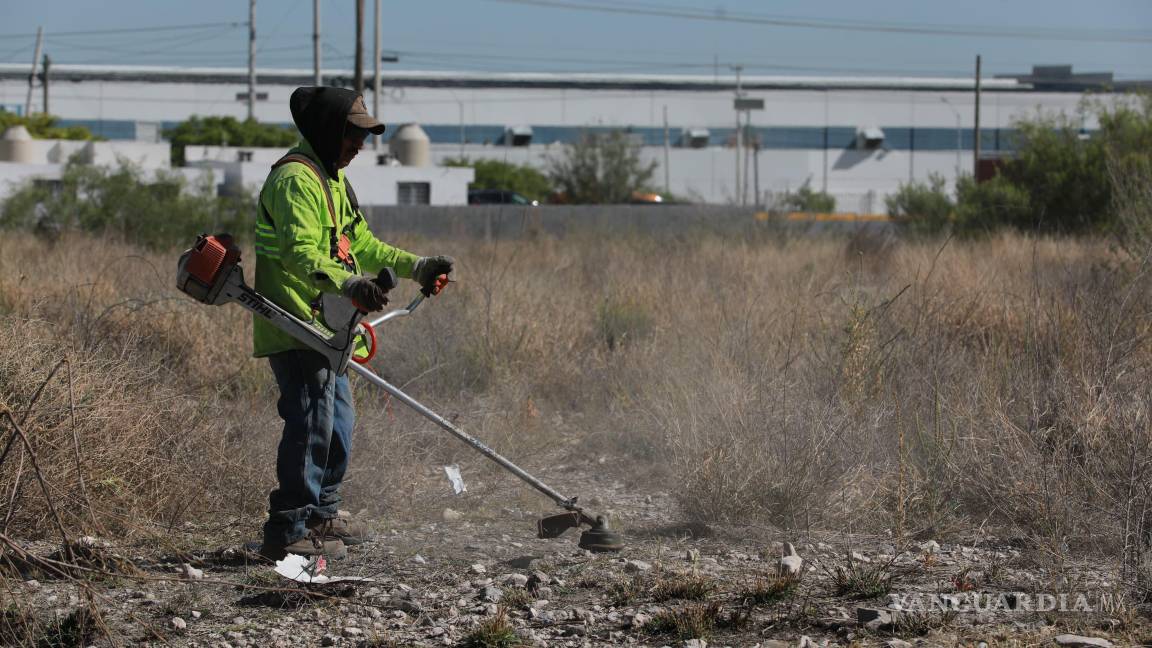 $!En la colonia Valle de los Almendros, trabajadores realizaron deshierbe y retiro de basura en zonas aledañas al arroyo y canal pluvial.