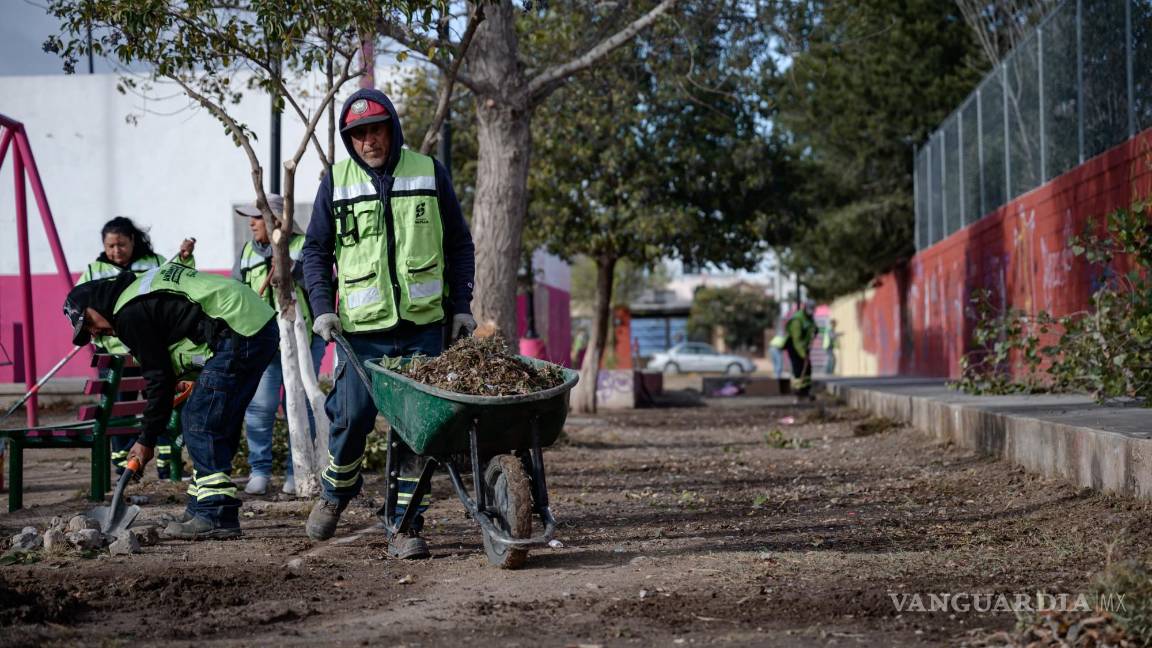 $!Totalmente transformada quedó la plaza púbica de la colonia Mirasierra.